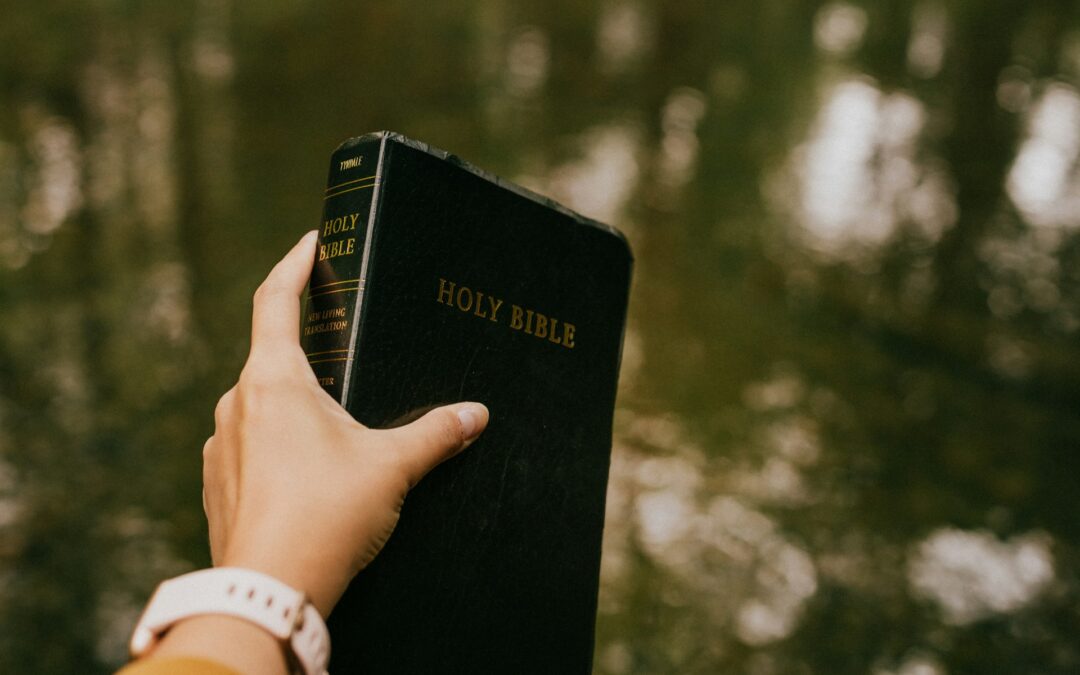Beginner Believer: Can I Trust the Bible?